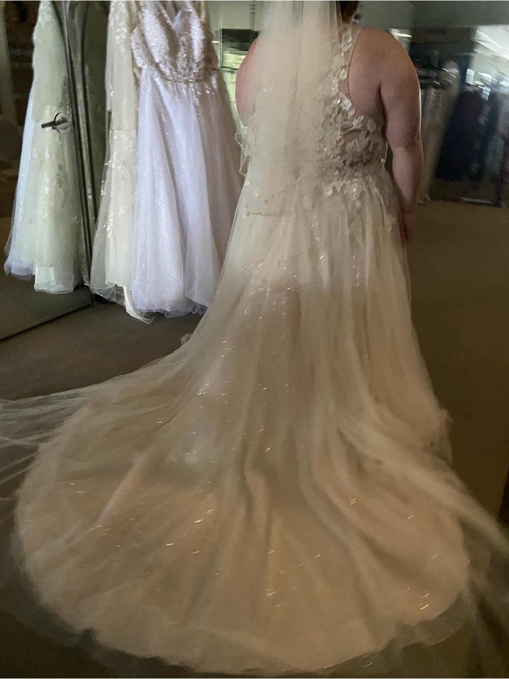 Plus-Size Ivory Lace & Tulle Wedding Dress with Beaded Bodice - Picture 9 of 12